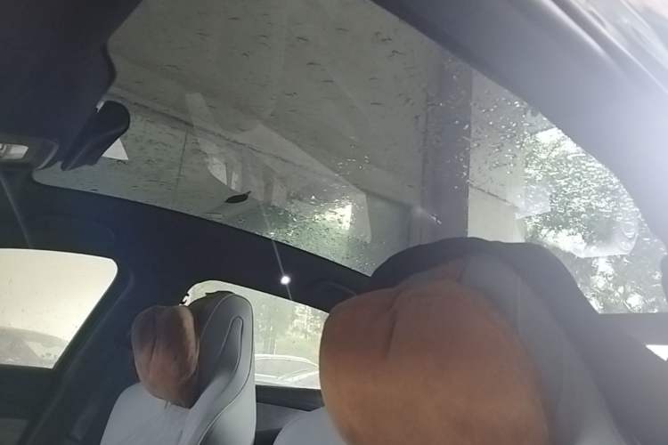 Used BYD Seal 2022 550 km Standard Range Rear-Wheel Drive Prestige Version Headliner