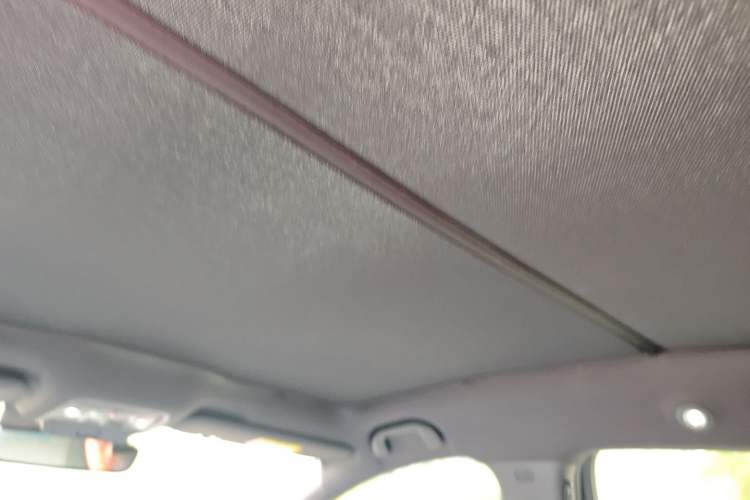 Used BYD Seal 2022 700 km Long-Range Rear-Wheel-Drive Version Headliner