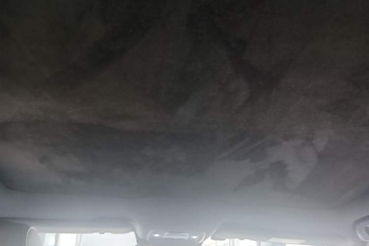 Used BYD Seal 2022 650 km All-Wheel-Drive Performance Version Headliner