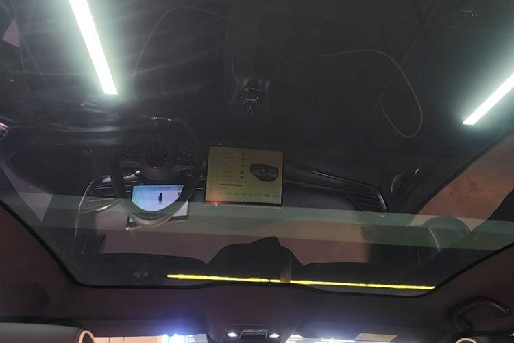 Used BYD Seal 2022 700 km Long-Range Rear-Wheel-Drive Version Headliner