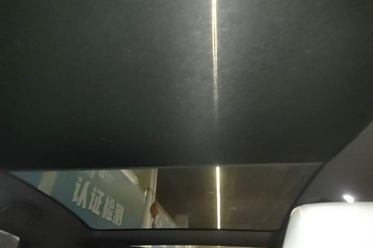 Used BYD Seal 2022 550 km Standard Range Rear-Wheel Drive Prestige Version Headliner