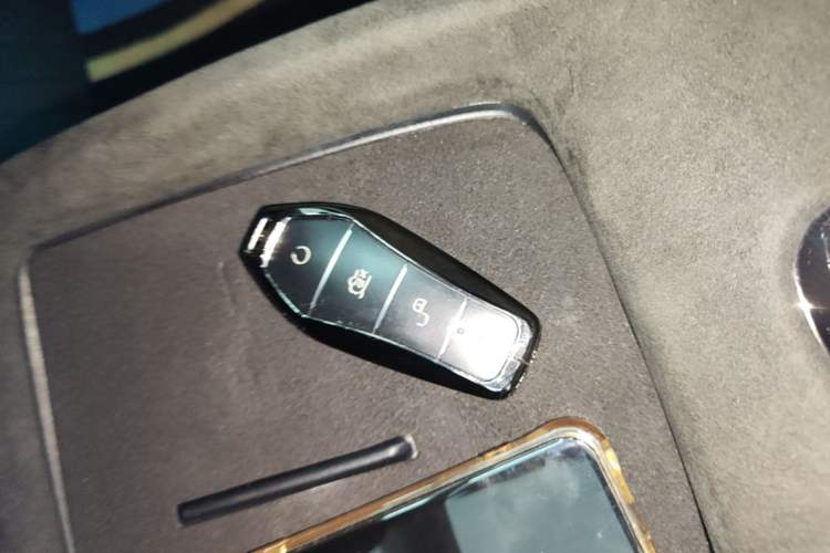 Used BYD Seal 2022 550 km Standard Range Rear-Wheel Drive Prestige Version Interior 1