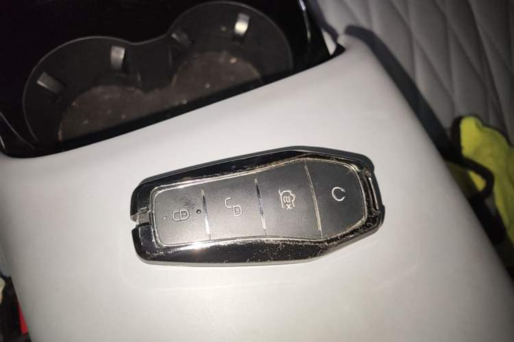 Used BYD Seal 2022 550 km Standard Range Rear-Wheel Drive Prestige Version Interior 1