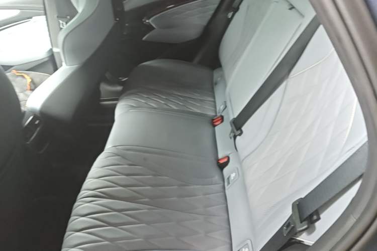 Used BYD Seal 2022 700 km Long-Range Rear-Wheel-Drive Version Left Rear Seat