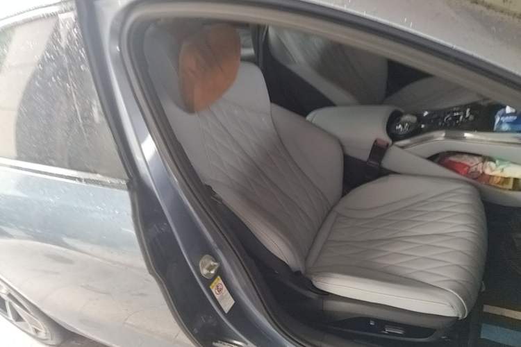 Used BYD Seal 2022 550 km Standard Range Rear-Wheel Drive Prestige Version Right Front Seat