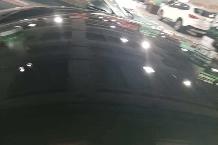 Used BYD Seal 2022 650 km All-Wheel-Drive Performance Version Roof