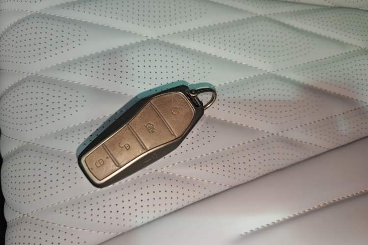 Used BYD Seal 2022 550 km Standard Range Rear-Wheel Drive Prestige Version Vehicle Key