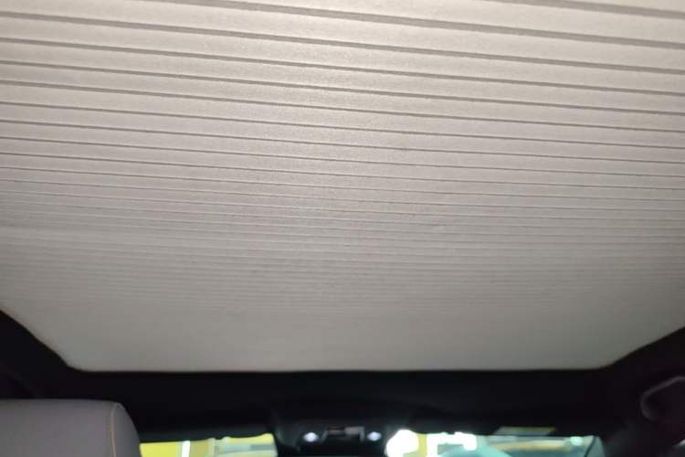 Used BYD Seal 2022 700 km Long-Range Rear-Wheel-Drive Version Headliner