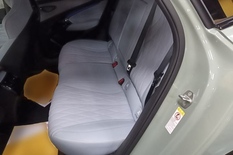 Used BYD Seal 2022 700 km Long-Range Rear-Wheel-Drive Version Left Rear Seat