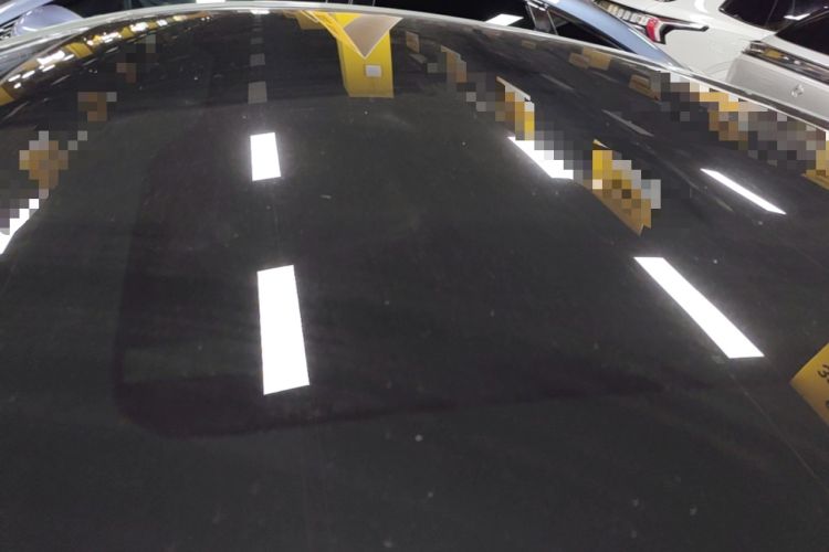 Used BYD Seal 2022 700 km Long-Range Rear-Wheel-Drive Version Roof