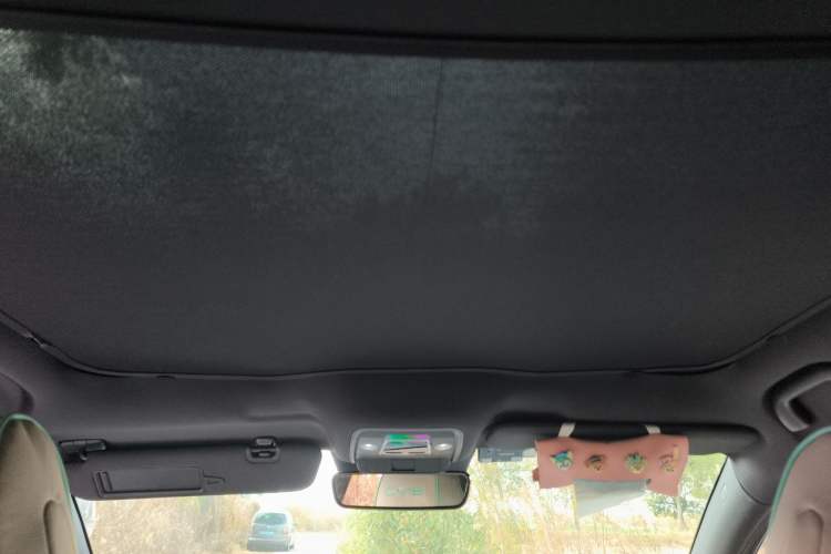 Used BYD Seal 2022 700 km Long-Range Rear-Wheel-Drive Version Headliner
