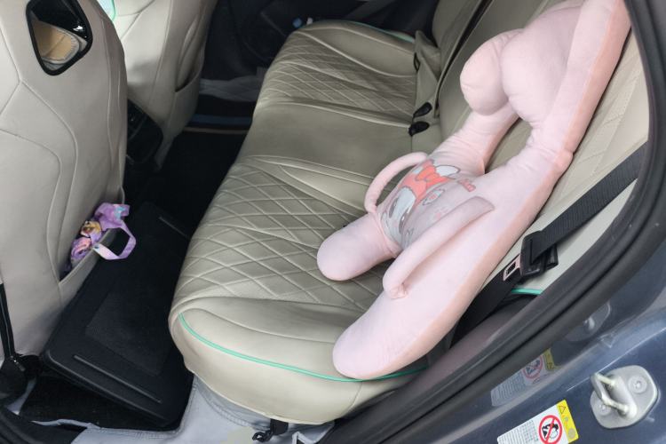 Used BYD Seal 2022 700 km Long-Range Rear-Wheel-Drive Version Left Rear Seat