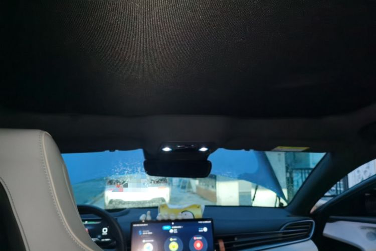 Used BYD Seal 2022 700 km Long-Range Rear-Wheel-Drive Version Headliner