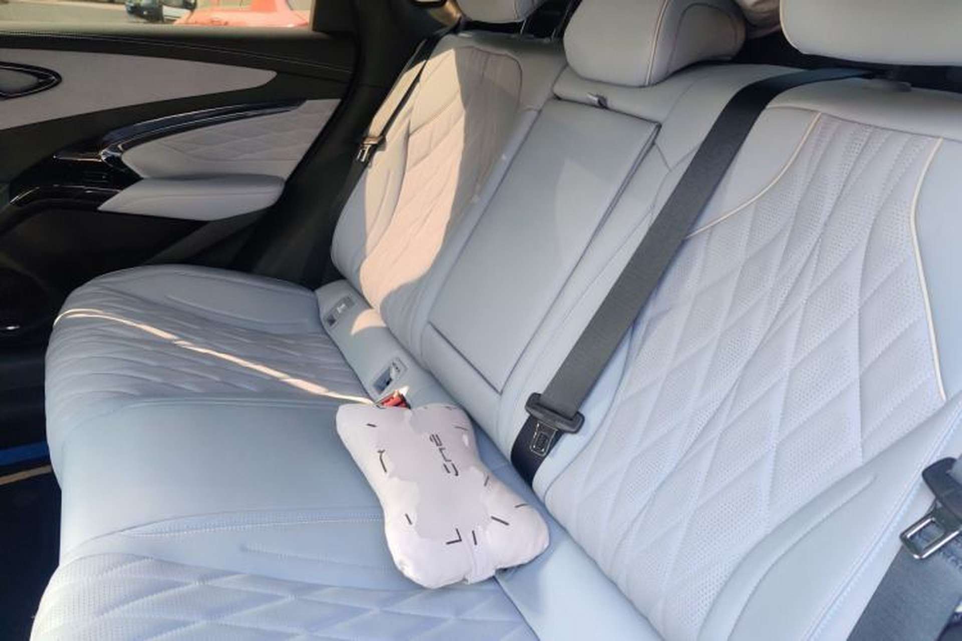 Used BYD Seal 2022 700 km Long-Range Rear-Wheel-Drive Version Left Rear Seat