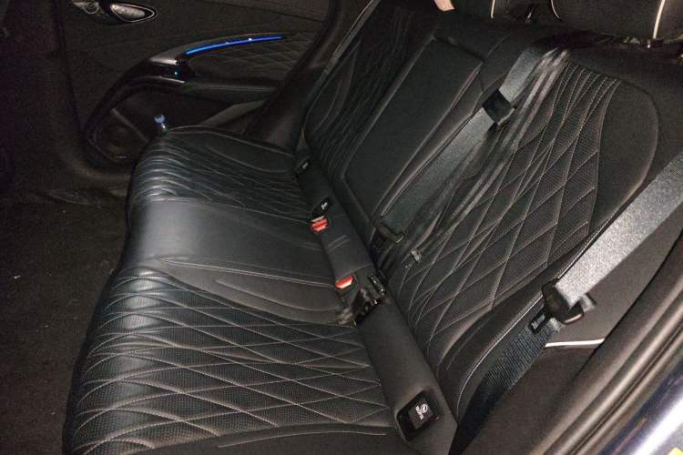 Used BYD Seal 2022 700 km Long-Range Rear-Wheel-Drive Version Left Rear Seat