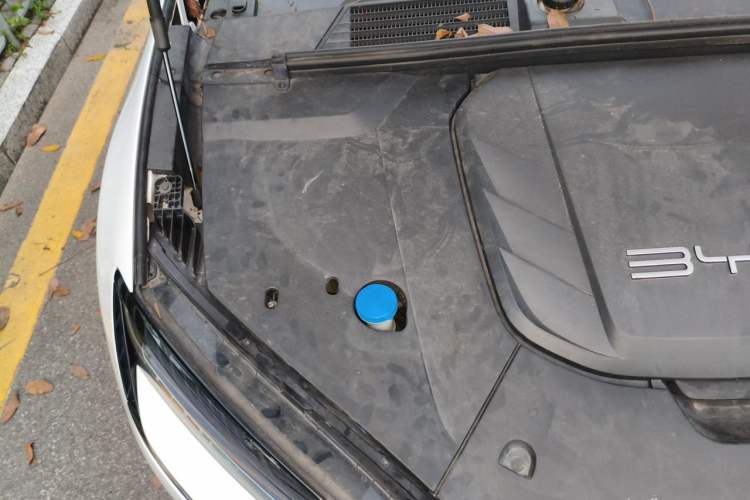 Used BYD Seal 2022 550 km Standard Range Rear-Wheel Drive Prestige Version Engine Bay Right