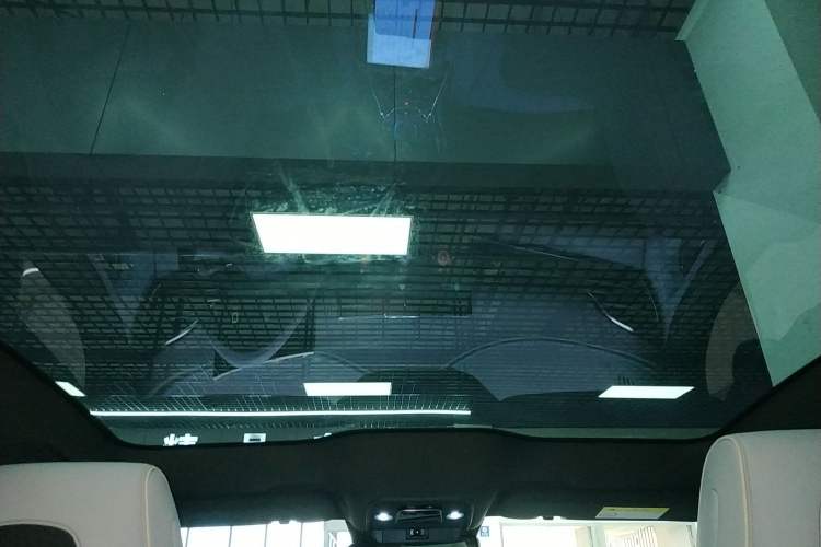 Used BYD Seal 2022 550 km Standard Range Rear-Wheel Drive Prestige Version Headliner