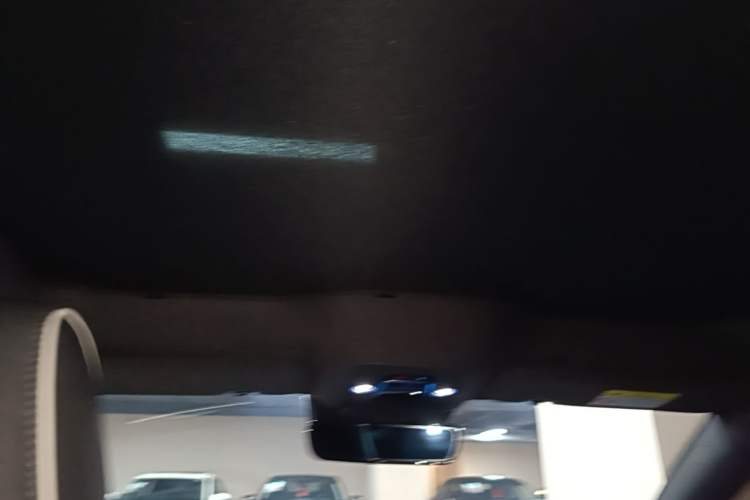 Used BYD Seal 2022 700 km Long-Range Rear-Wheel-Drive Version Headliner