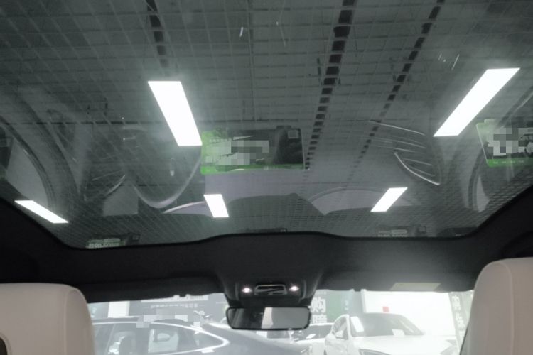 Used BYD Seal 2022 700 km Long-Range Rear-Wheel-Drive Version Headliner