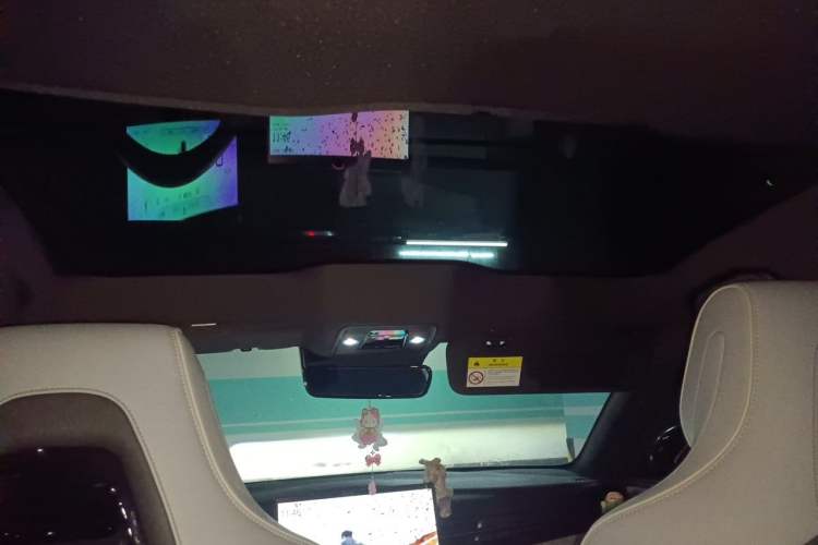 Used BYD Seal 2022 550 km Standard Range Rear-Wheel Drive Elite Version Headliner