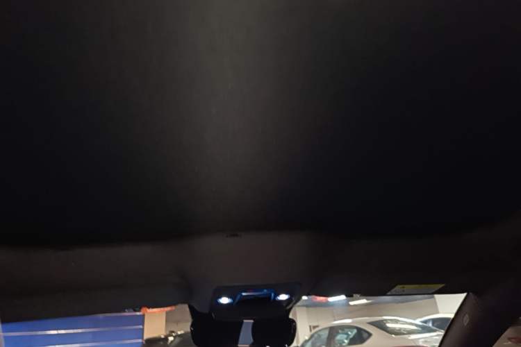Used BYD Seal 2022 700 km Long-Range Rear-Wheel-Drive Version Headliner