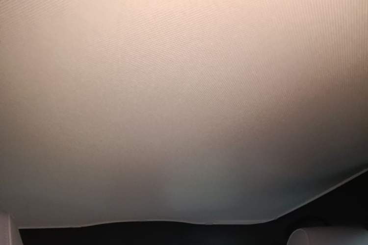 Used BYD Seal 2022 550 km Standard Range Rear-Wheel Drive Elite Version Headliner