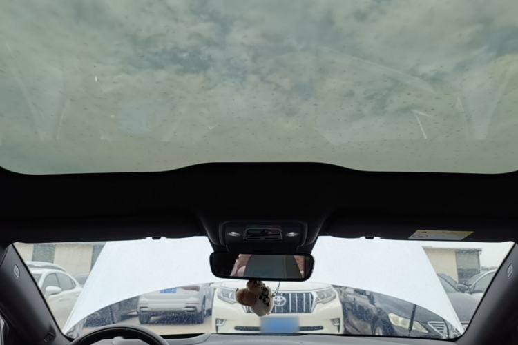 Used BYD Seal 2022 700 km Long-Range Rear-Wheel-Drive Version Headliner