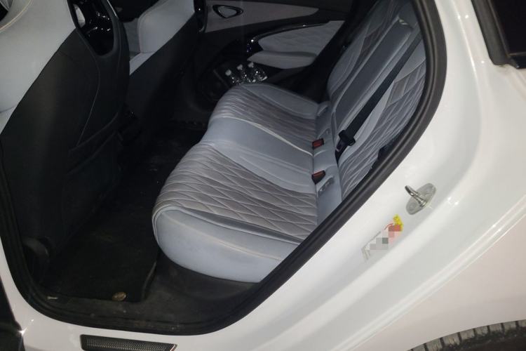 Used BYD Seal 2022 700 km Long-Range Rear-Wheel-Drive Version Left Rear Seat