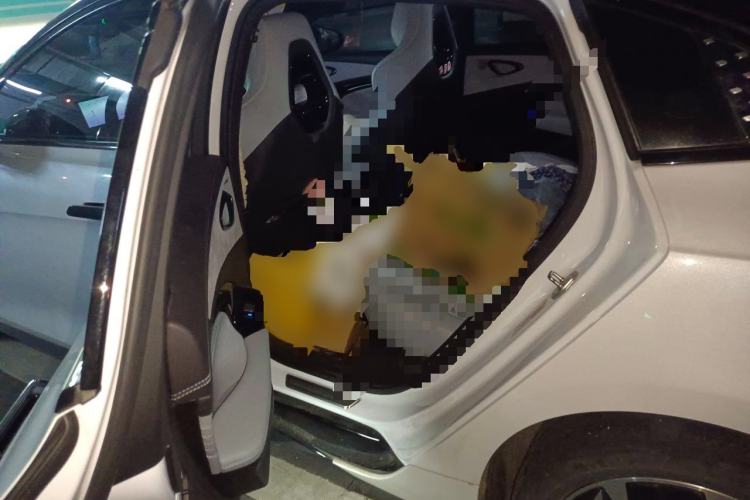 Used BYD Seal 2022 550 km Standard Range Rear-Wheel Drive Elite Version Left Rear Seat