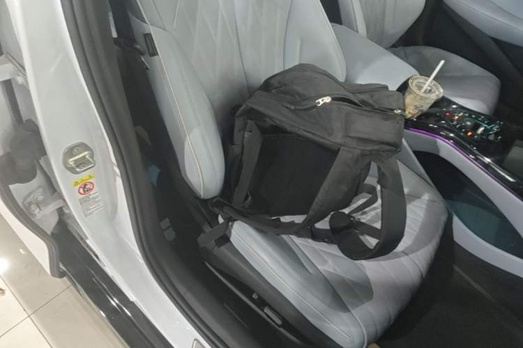 Used BYD Seal 2022 700 km Long-Range Rear-Wheel-Drive Version Right Front Seat