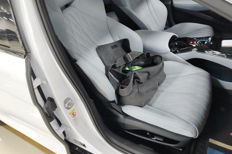 Used BYD Seal 2022 550 km Standard Range Rear-Wheel Drive Prestige Version Right Front Seat