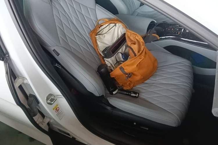 Used BYD Seal 2022 550 km Standard Range Rear-Wheel Drive Elite Version Right Front Seat
