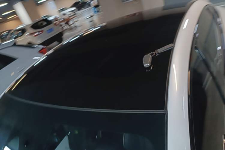 Used BYD Seal 2022 700 km Long-Range Rear-Wheel-Drive Version Roof