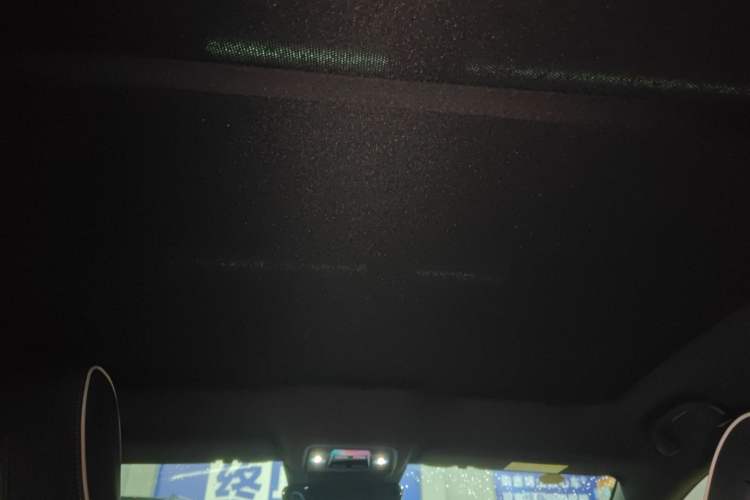Used BYD Seal 2023 Champion Edition 700km Performance Version Headliner