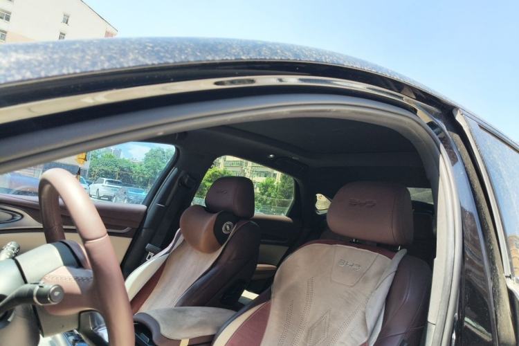 Used BYD Seal 2023 DM-i 1.5T 121km Flagship Model Left Front Seat