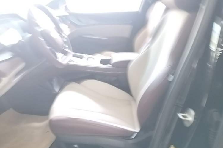 Used BYD Seal 2023 DM-i 1.5T 121km Prestige Model Left Front Seat