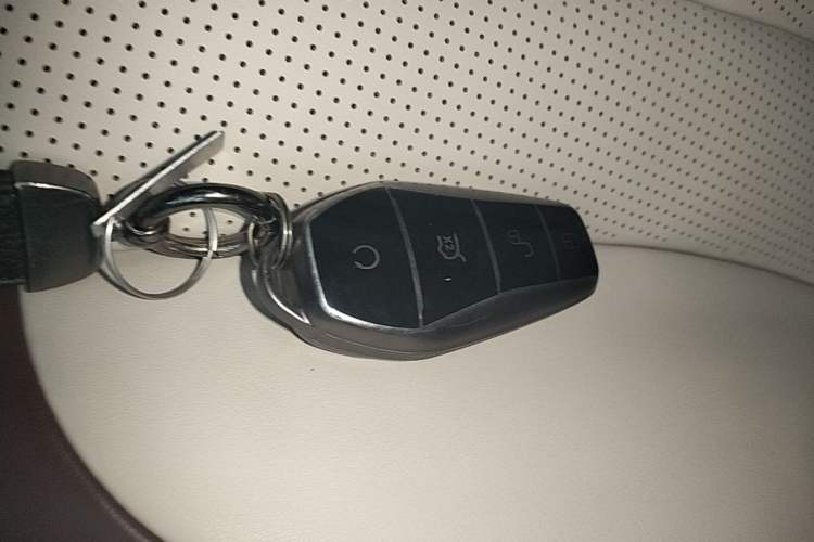 Used BYD Seal 2023 DM-i 1.5T 121km Prestige Model Vehicle Key