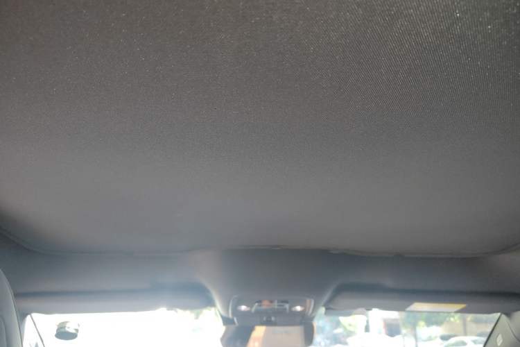 Used BYD Seal 2023 Champion Edition 700km Performance Version Headliner