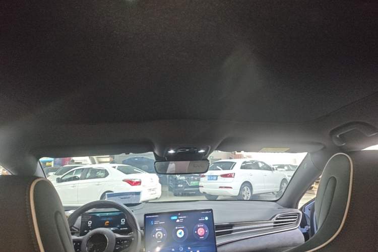 Used BYD Seal 2023 Champion Edition 700km Performance Version Headliner