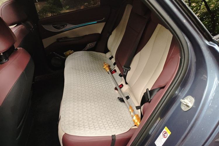 Used BYD Seal 2023 DM-i 1.5T 121km Prestige Model Left Rear Seat