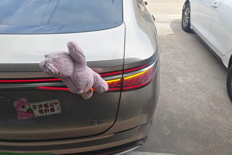 Used BYD Seal 2023 DM-i 1.5L 121km Prestige Model Right Rear Taillight