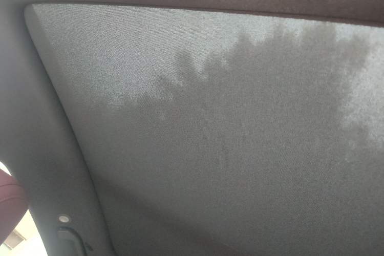 Used BYD Seal 2023 DM-i 1.5L 121km Prestige Model Headliner