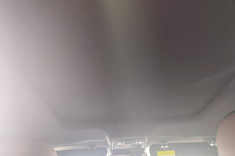 Used BYD Seal 2023 DM-i 1.5T 121km Flagship Model Headliner
