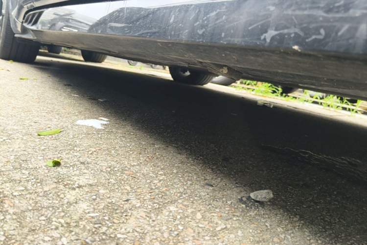 Used BYD Seal 2023 Champion Edition 700km Performance Version Right Side Sill