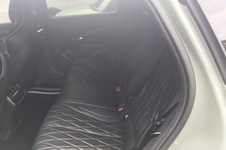 Used BYD Seal 2023 Champion Edition 700km Performance Version Left Rear Seat