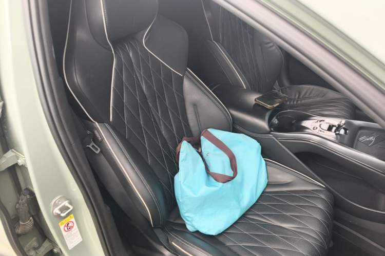 Used BYD Seal 2023 Champion Edition 700km Performance Version Right Front Seat