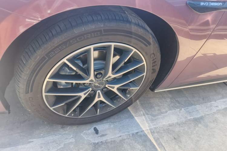 Used BYD Seal 2023 DM-i 1.5T 121km Prestige Model Exterior 4