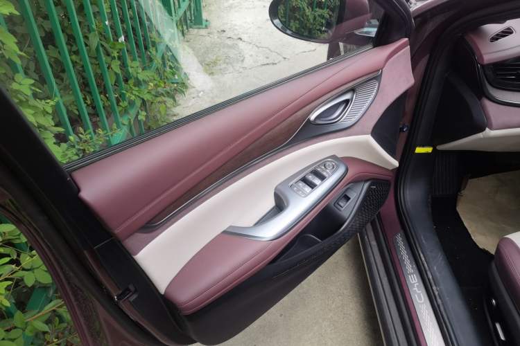 Used BYD Seal 2023 DM-i 1.5T 121km Flagship Model Left Front Door Interior