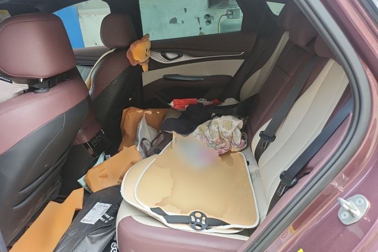 Used BYD Seal 2023 DM-i 1.5L 121km Prestige Model Left Rear Seat