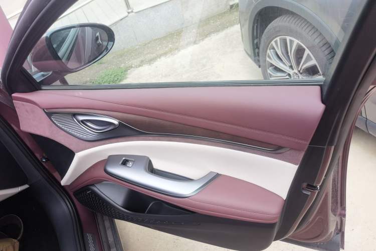 Used BYD Seal 2023 DM-i 1.5T 121km Flagship Model Right Front Door Interior